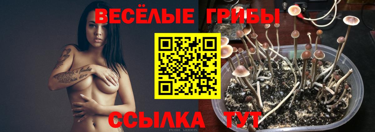 Ногинск  Галлюциногенные грибы Psilocybe  Вход с VPN  Галлюциногенные грибы ЛСД 